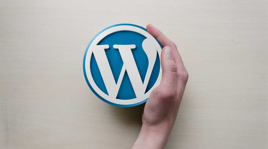 Топ-5 плагинов SEO плагинов для WordPress