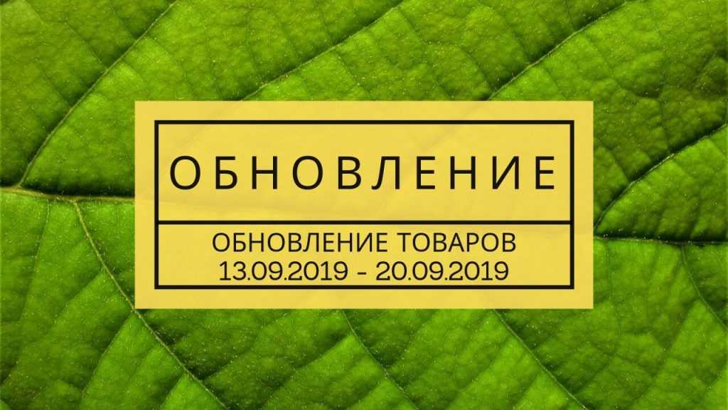 Обновление товара за 20.09.2019