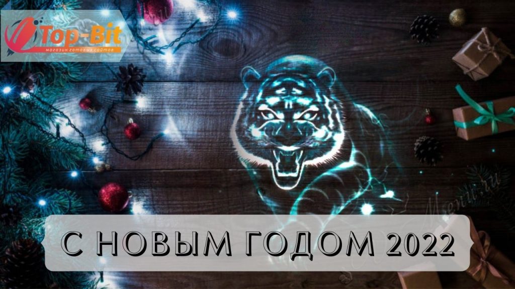 S NOVYM GODOM 2022 С НОВЫМ ГОДОМ 2022