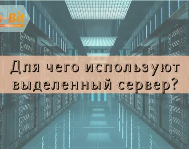 Для чего используют выделенный сервер и что он из себя представляет?